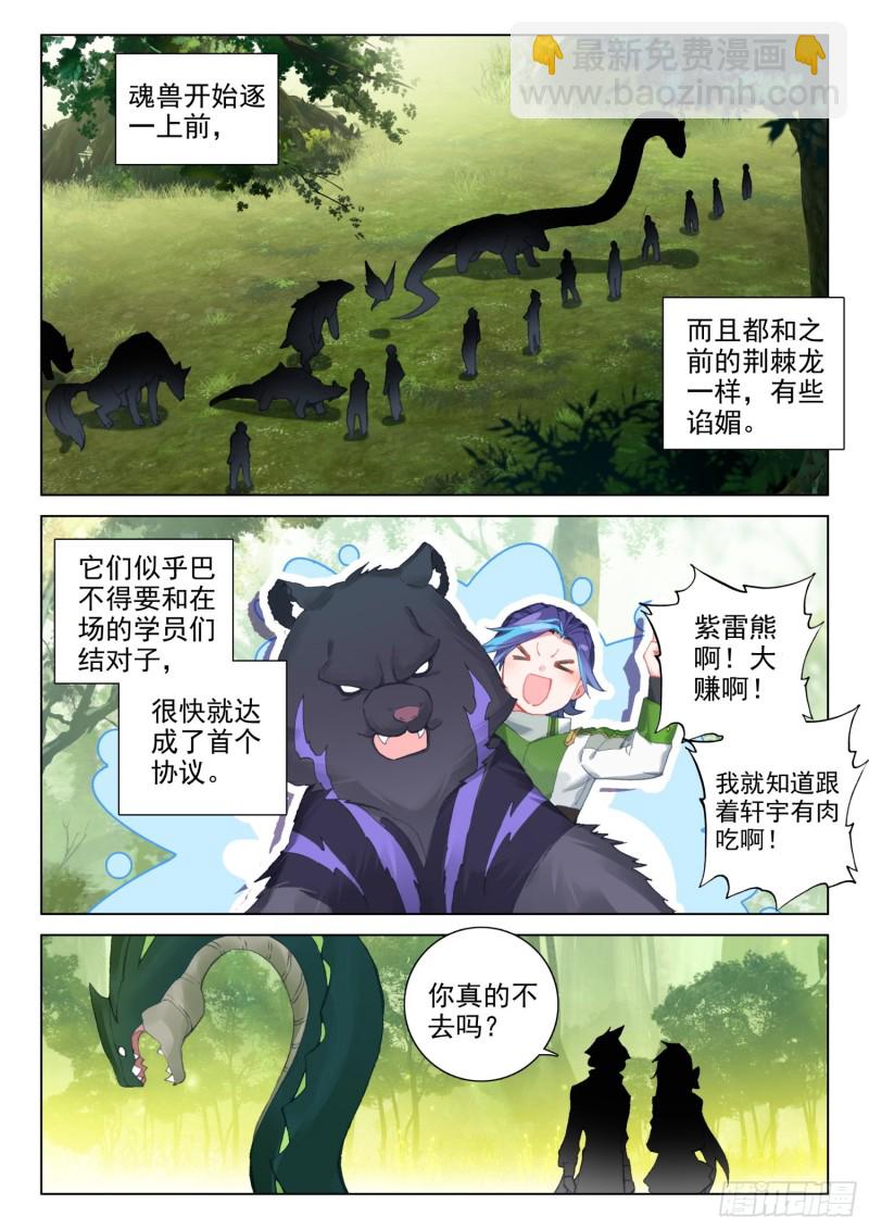 🍼斗罗大陆4终极斗罗 全班选魂灵 第10页
