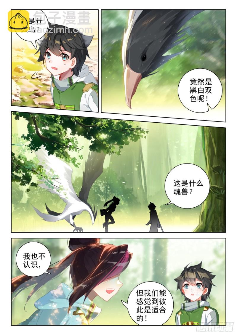 🍼斗罗大陆4终极斗罗 全班选魂灵 第13页