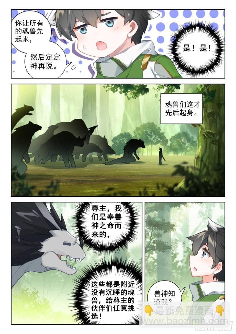 🍼斗罗大陆4终极斗罗 全班选魂灵 第3页