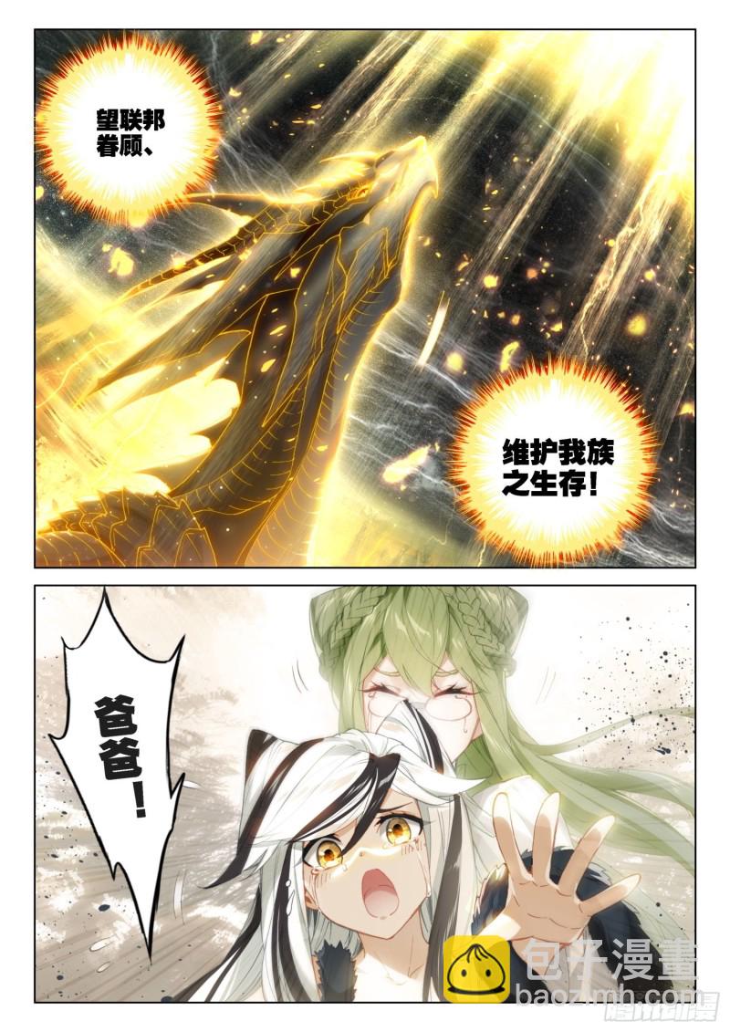 🍼斗罗大陆4终极斗罗 兽神升天 第10页