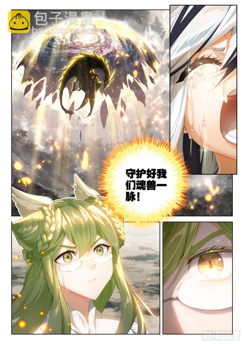 🍼斗罗大陆4终极斗罗 兽神升天 第12页