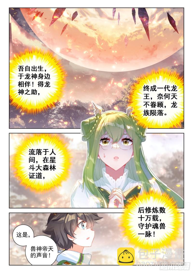 🍼斗罗大陆4终极斗罗 兽神升天 第7页