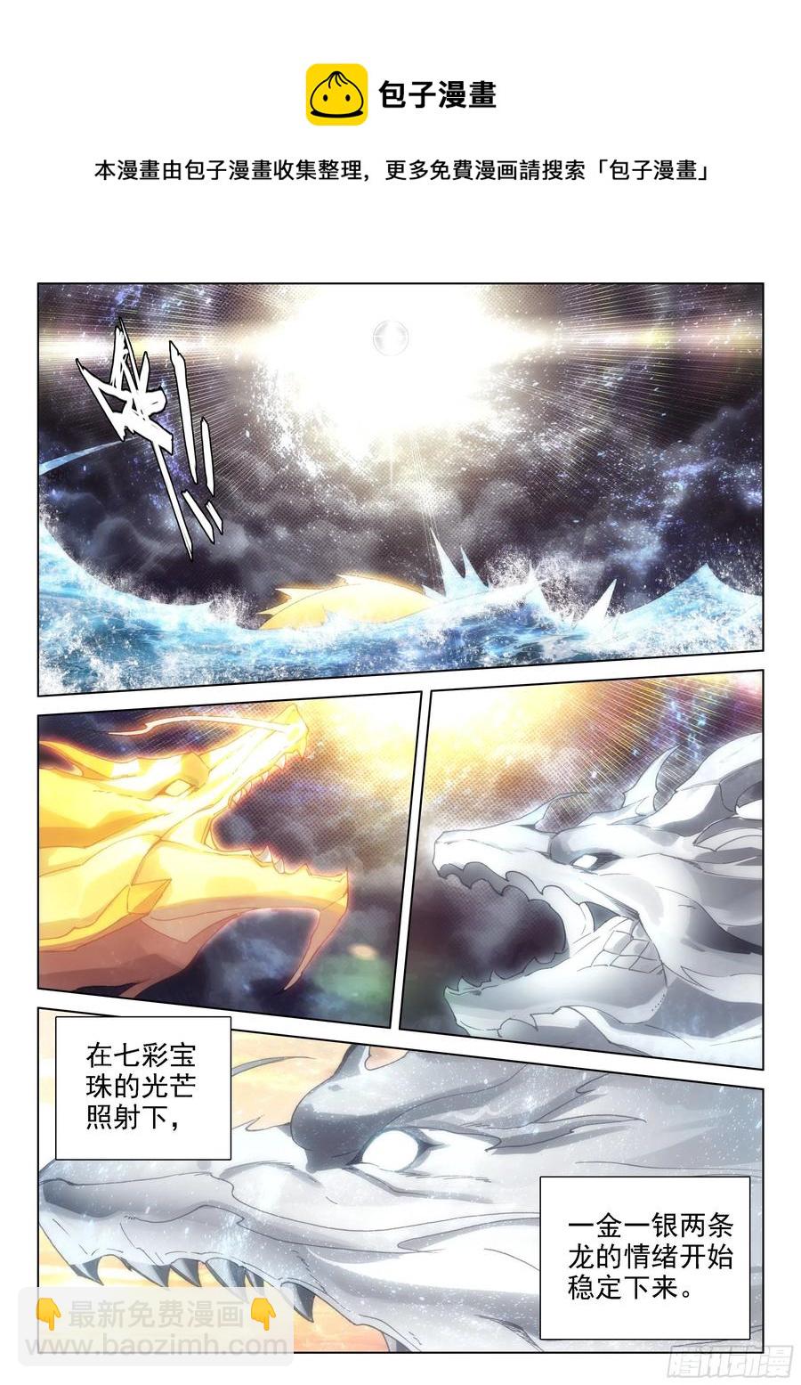 🍼斗罗大陆4终极斗罗 突破灵渊境 第14页