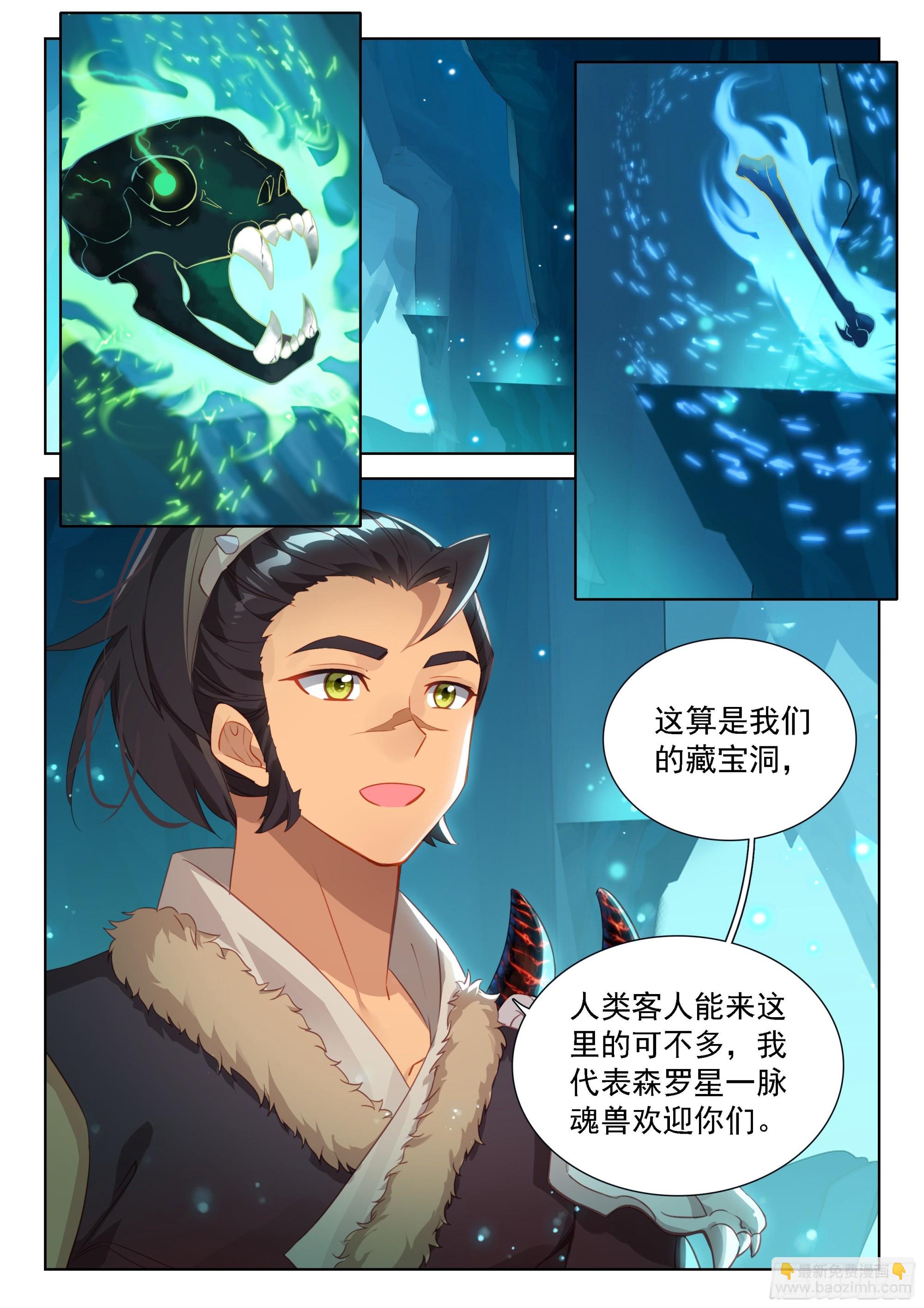🍼斗罗大陆4终极斗罗 破纪录 第13页