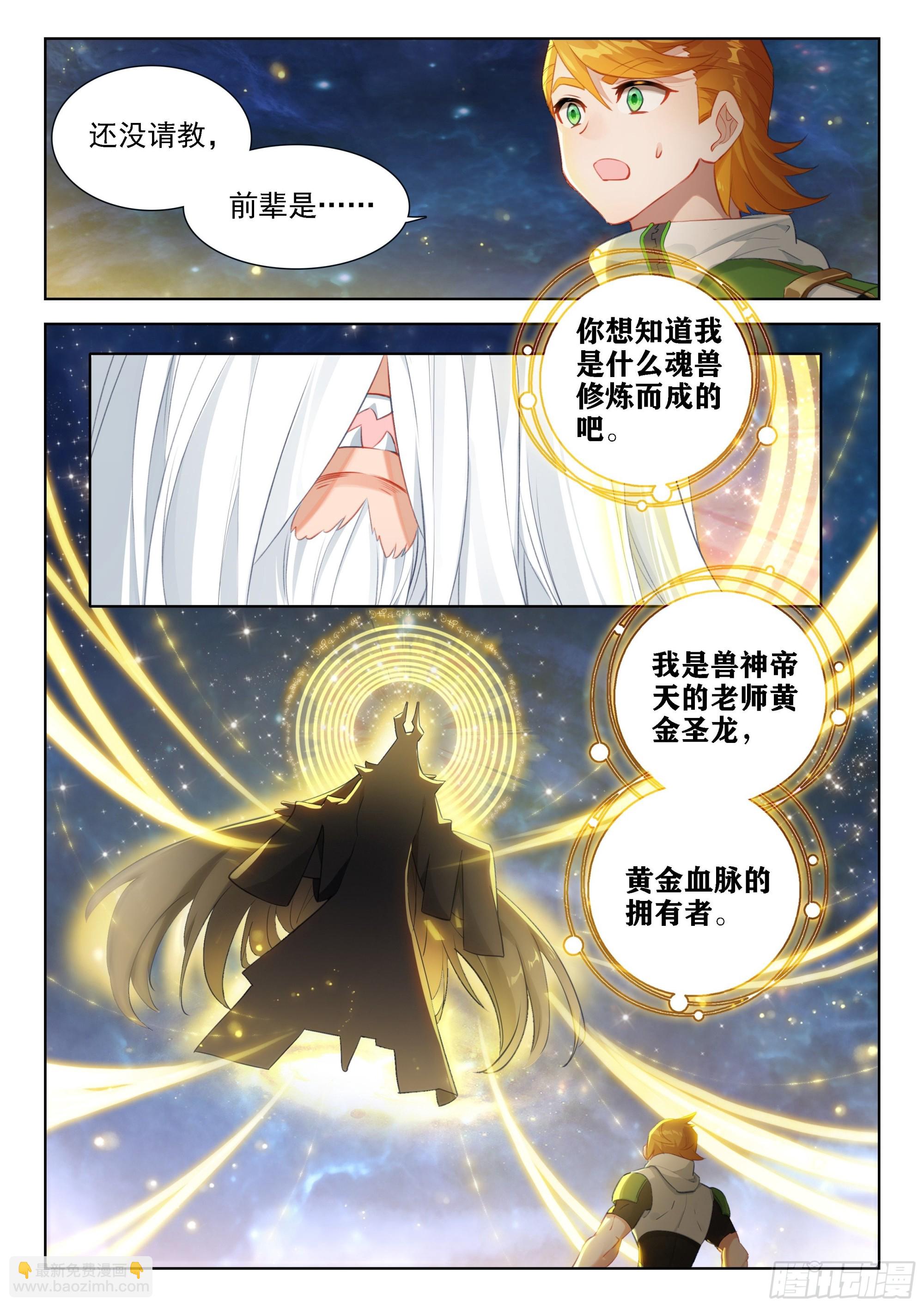 🍼斗罗大陆4终极斗罗 魂兽世界第一骗子 第11页