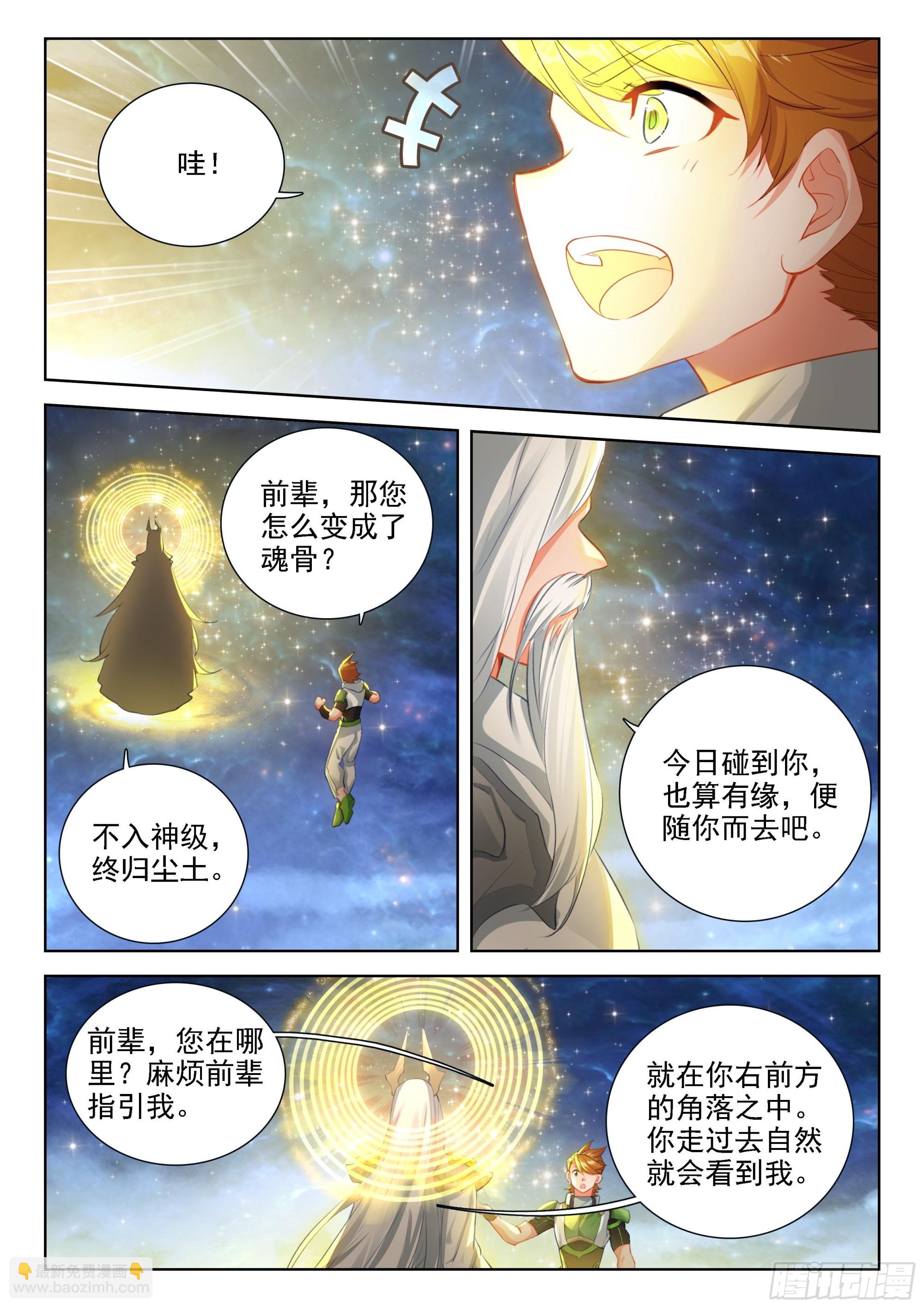 🍼斗罗大陆4终极斗罗 魂兽世界第一骗子 第12页