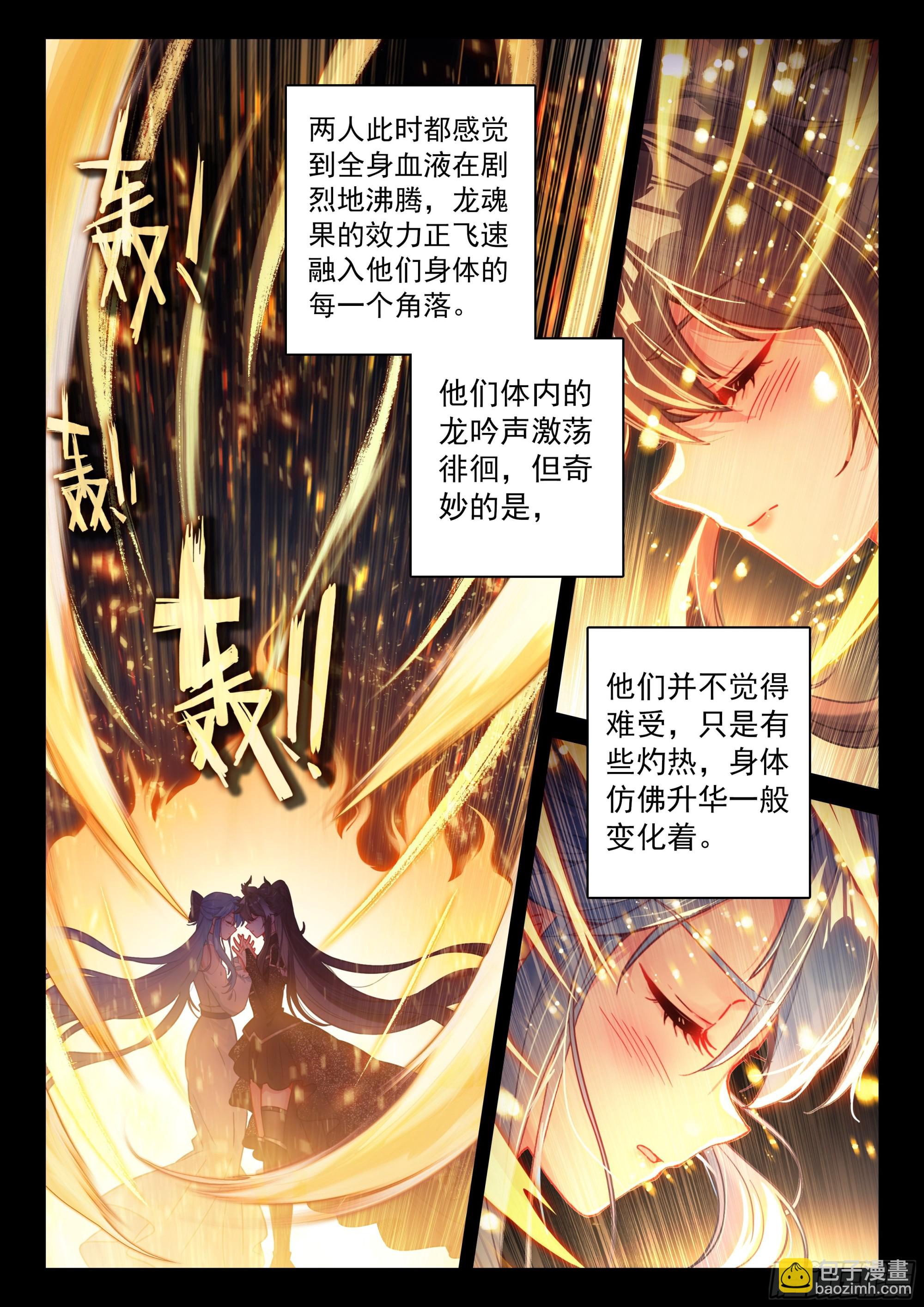 🍼斗罗大陆4终极斗罗 龙力淬取 第12页