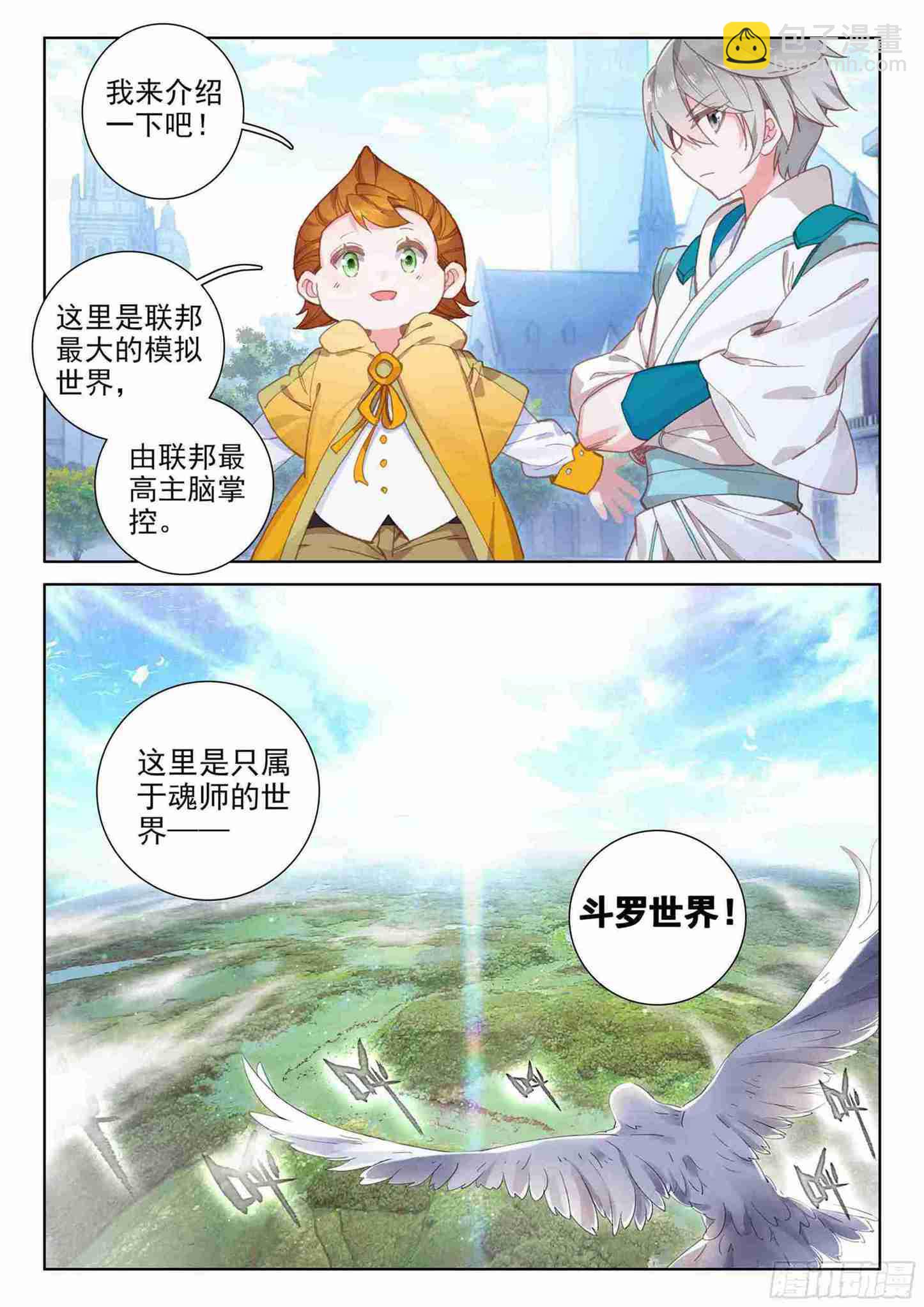 🍼斗罗大陆4终极斗罗 斗罗世界 第12页