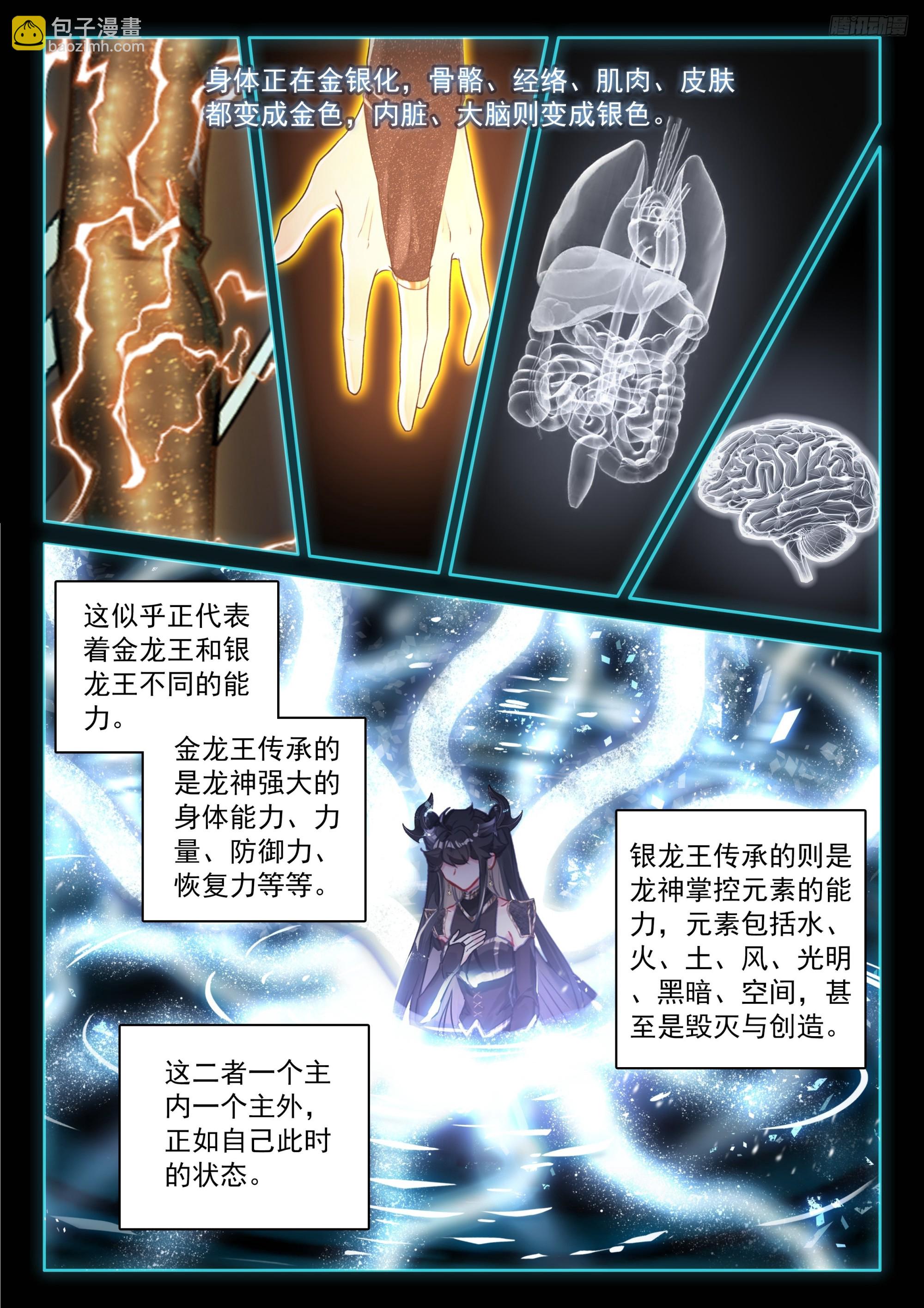 🍼斗罗大陆4终极斗罗 轩宇渡劫 第10页