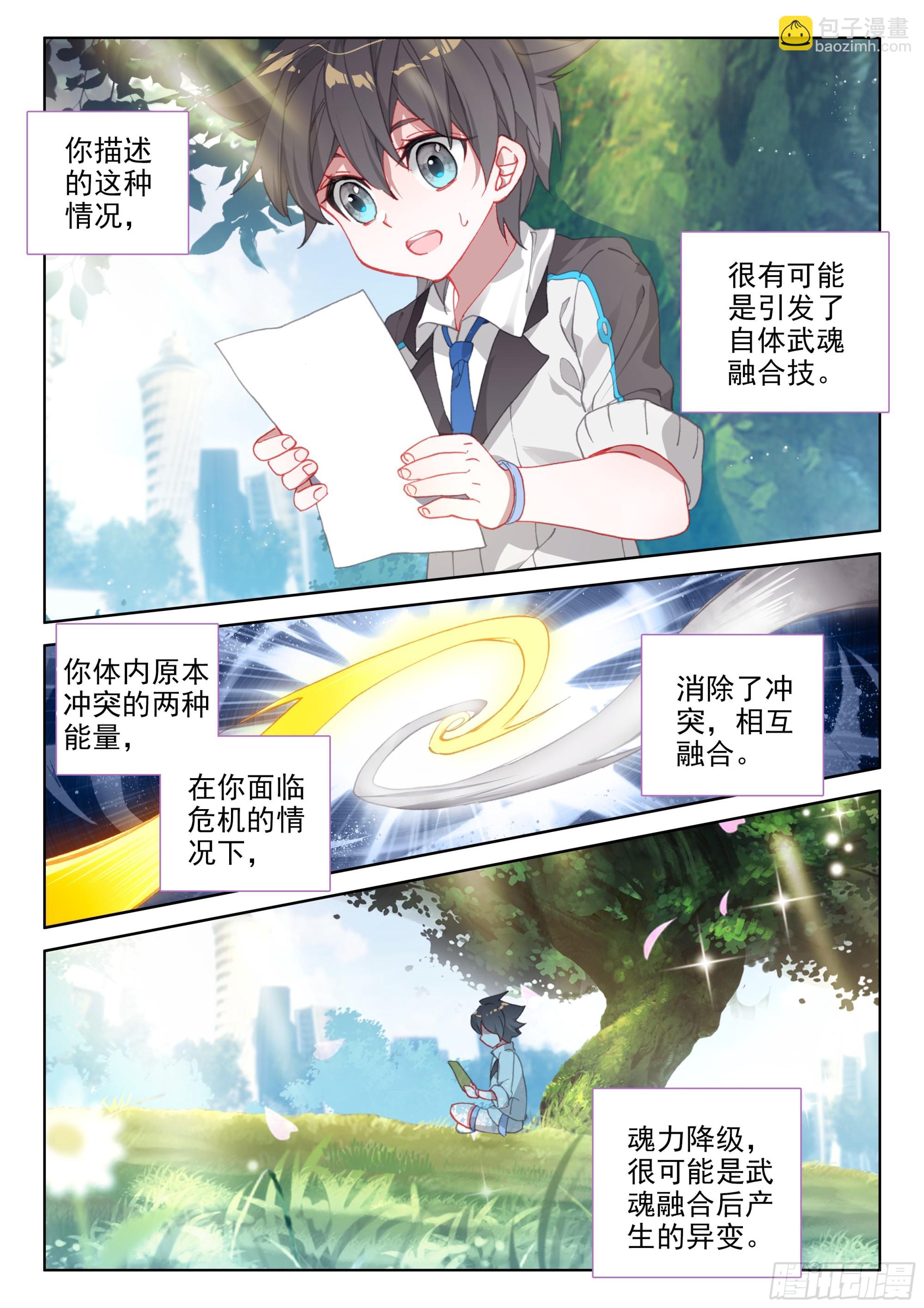 🍼斗罗大陆4终极斗罗 自体武魂融合技 第12页