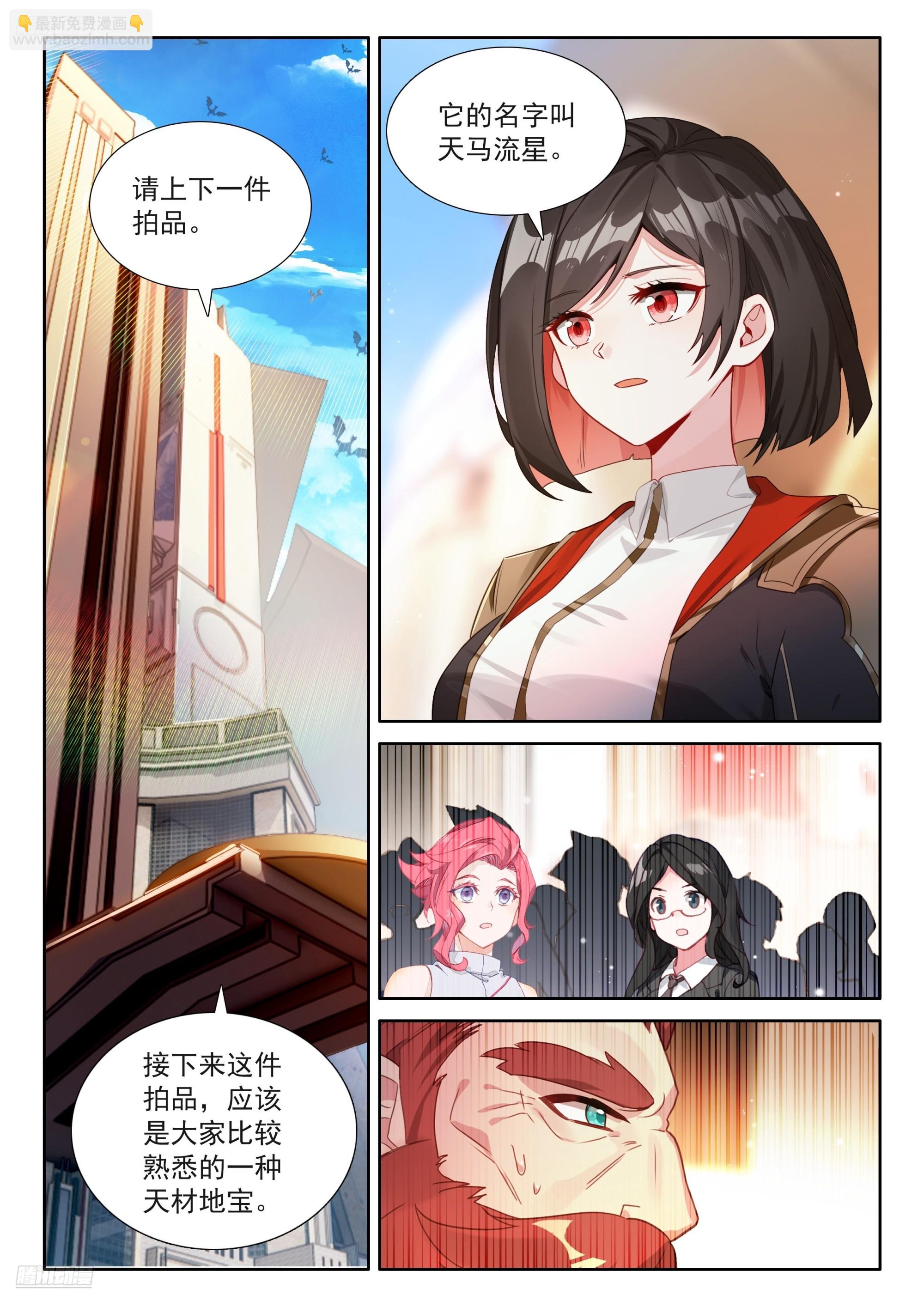 🍼斗罗大陆4终极斗罗 天马流星 第3页