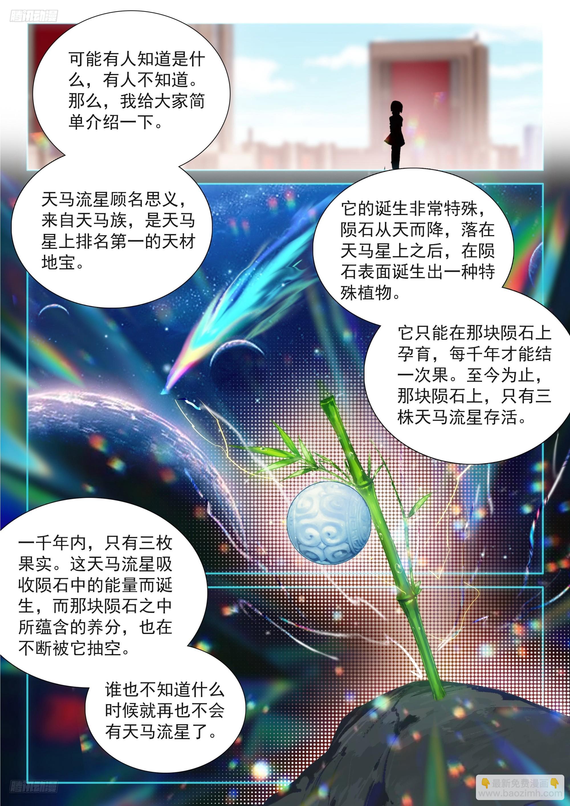 🍼斗罗大陆4终极斗罗 天马流星 第4页