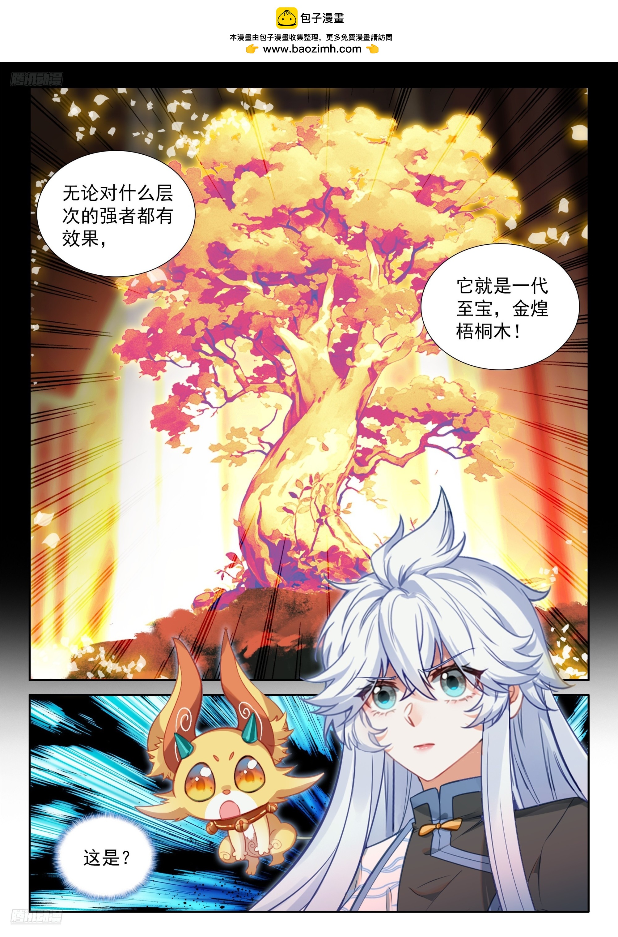 🍼斗罗大陆4终极斗罗 金煌梧桐木 第2页