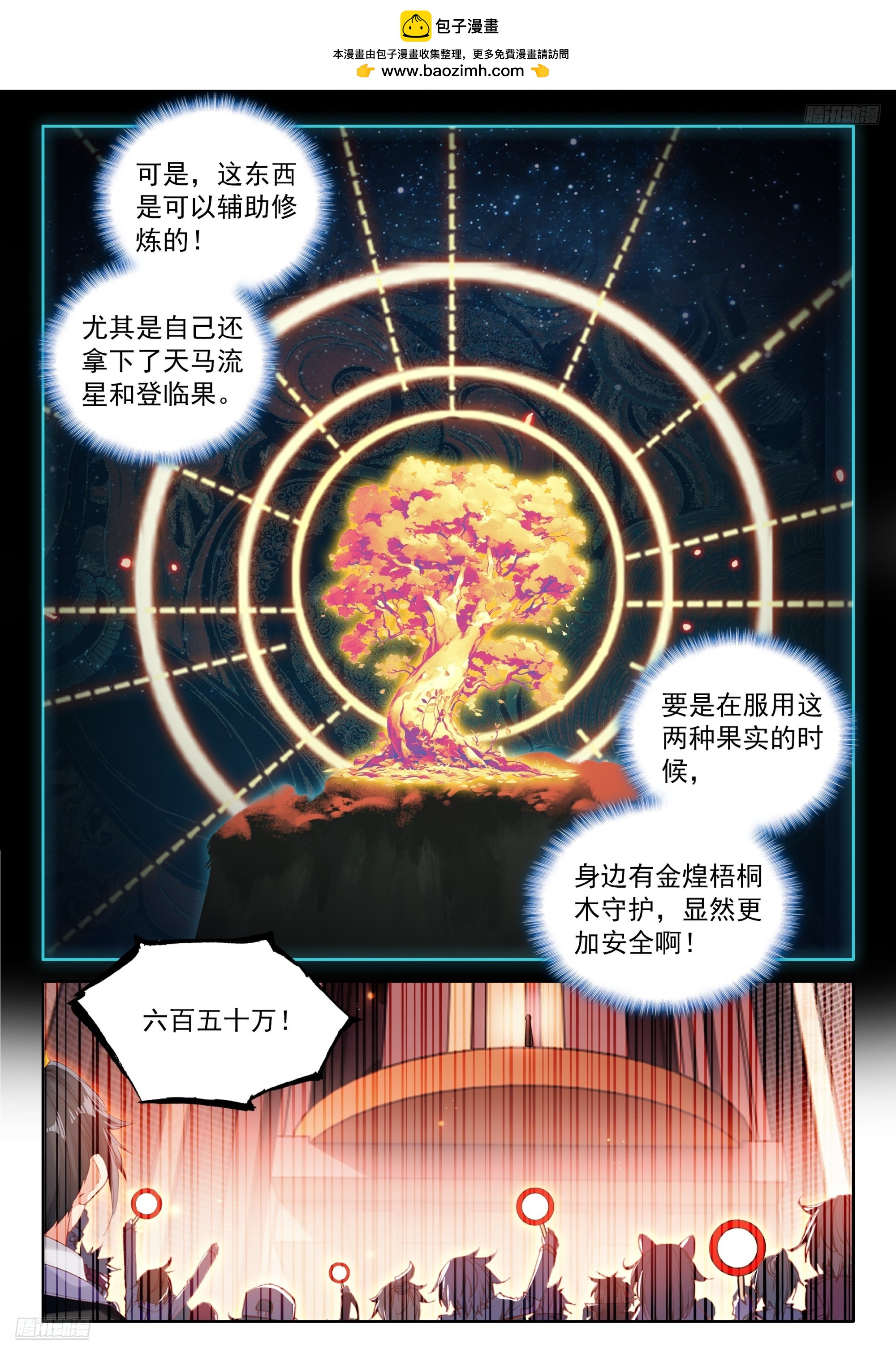 🍼斗罗大陆4终极斗罗 金煌梧桐木 第8页