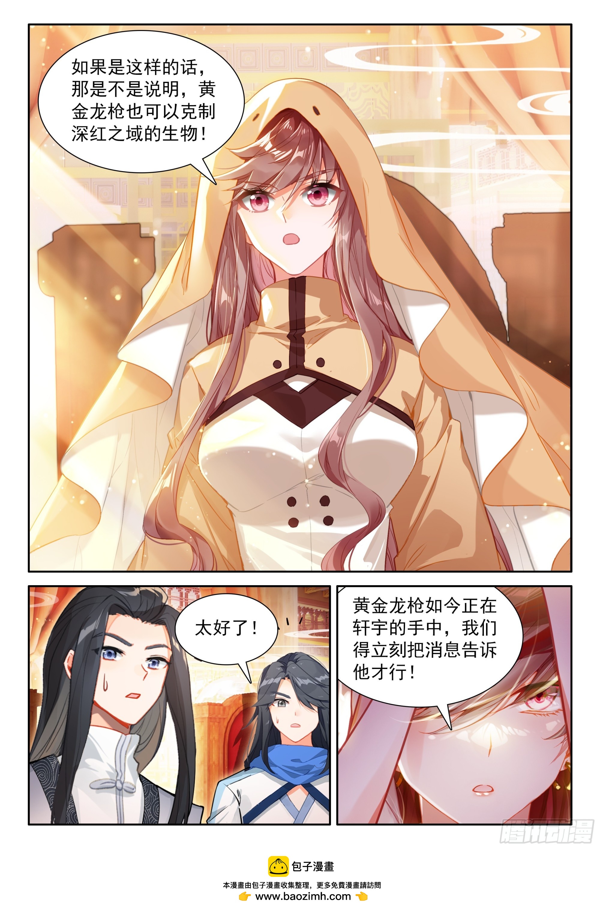 🍼斗罗大陆4终极斗罗 黑皇降临 第17页