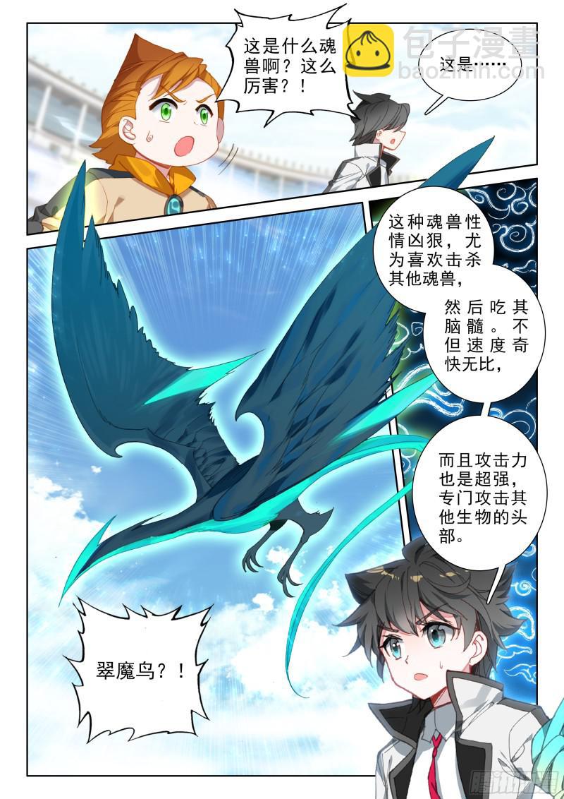 🍼斗罗大陆4终极斗罗 翠魔鸟 第10页