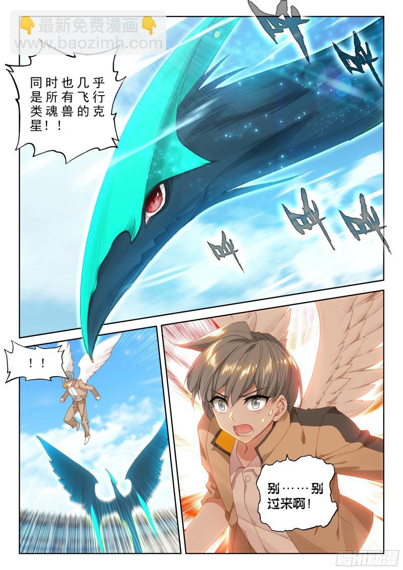 🍼斗罗大陆4终极斗罗 翠魔鸟 第11页