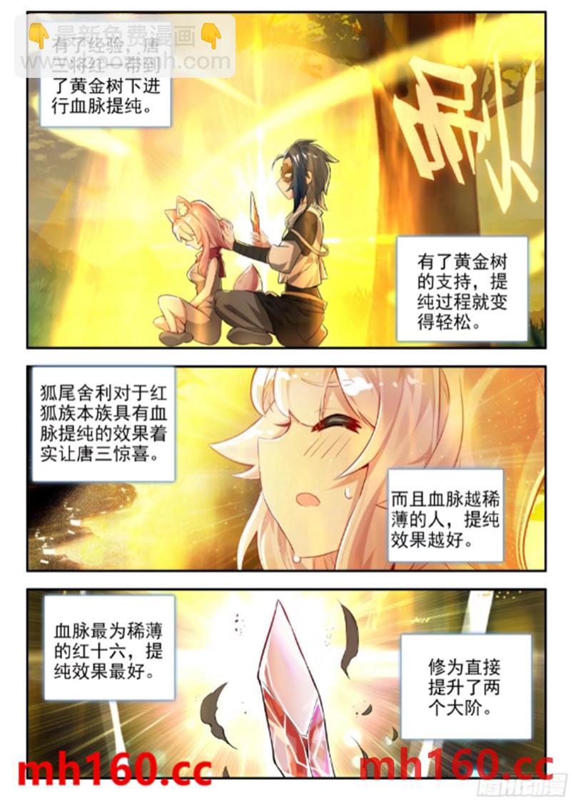 🍼斗罗大陆 5 重生唐三 168 狐尾舍利 第15页