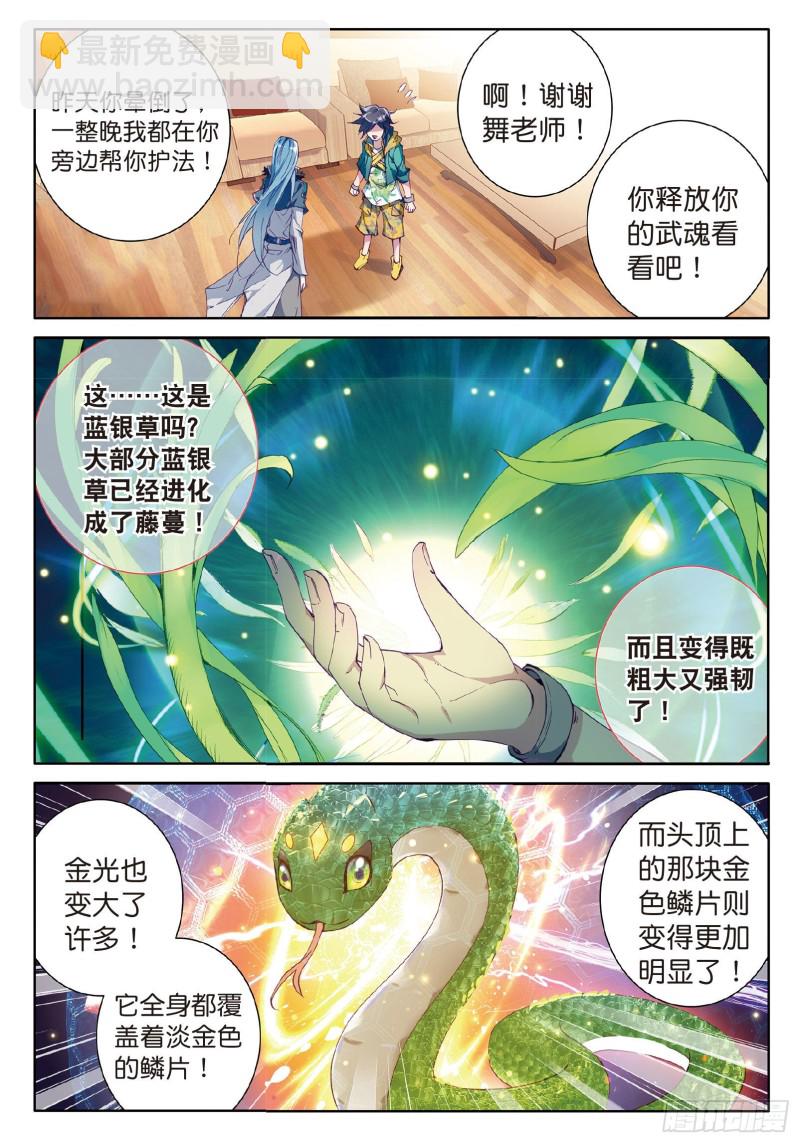 🍼斗罗大陆 第三部 龙王传说 54  魂灵进化 第3页
