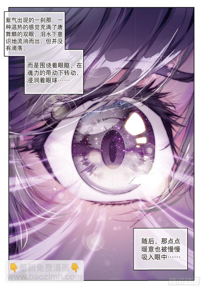 🍼斗罗大陆 第三部 龙王传说 76  紫极魔瞳 第13页
