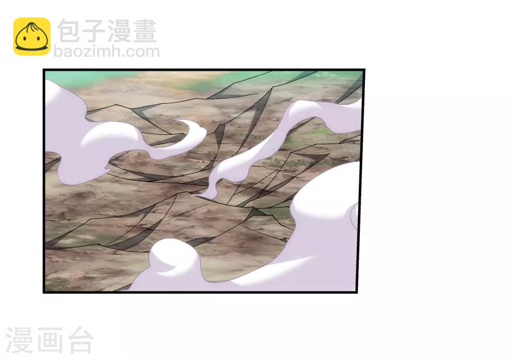 🍼斗破苍穹之大主宰 第335话 来赌一把吗？ 第3页