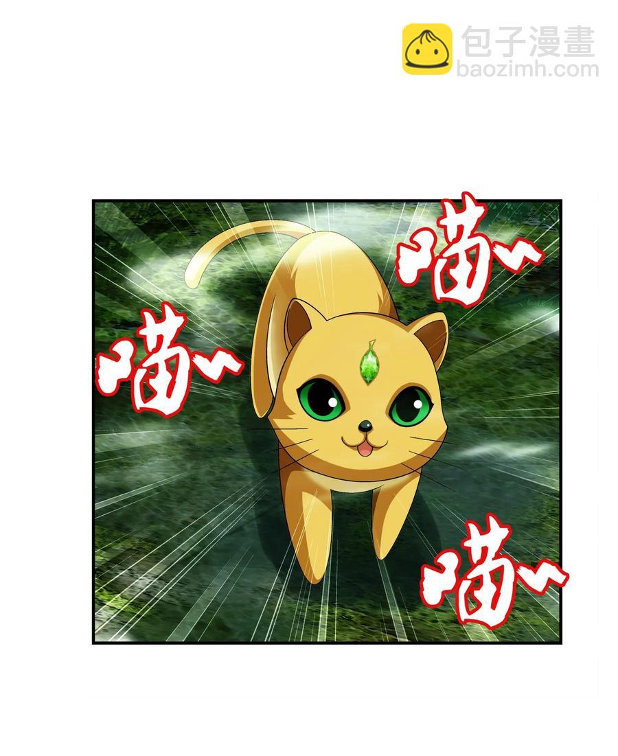 🍼斗破苍穹之大主宰 493 小猫？咪？ 第28页