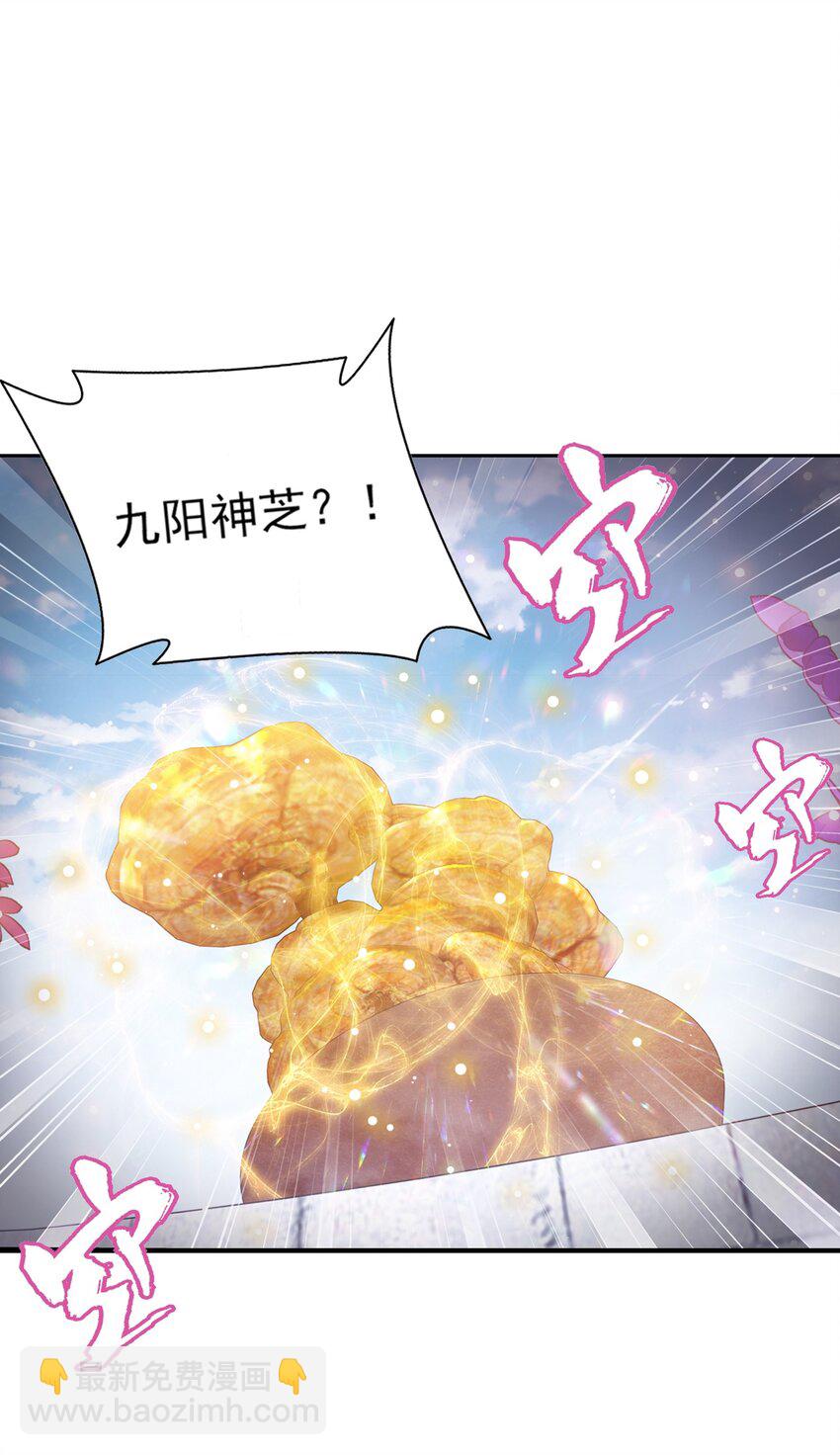 🍼斗破苍穹之大主宰 511 九阳神芝 第2页