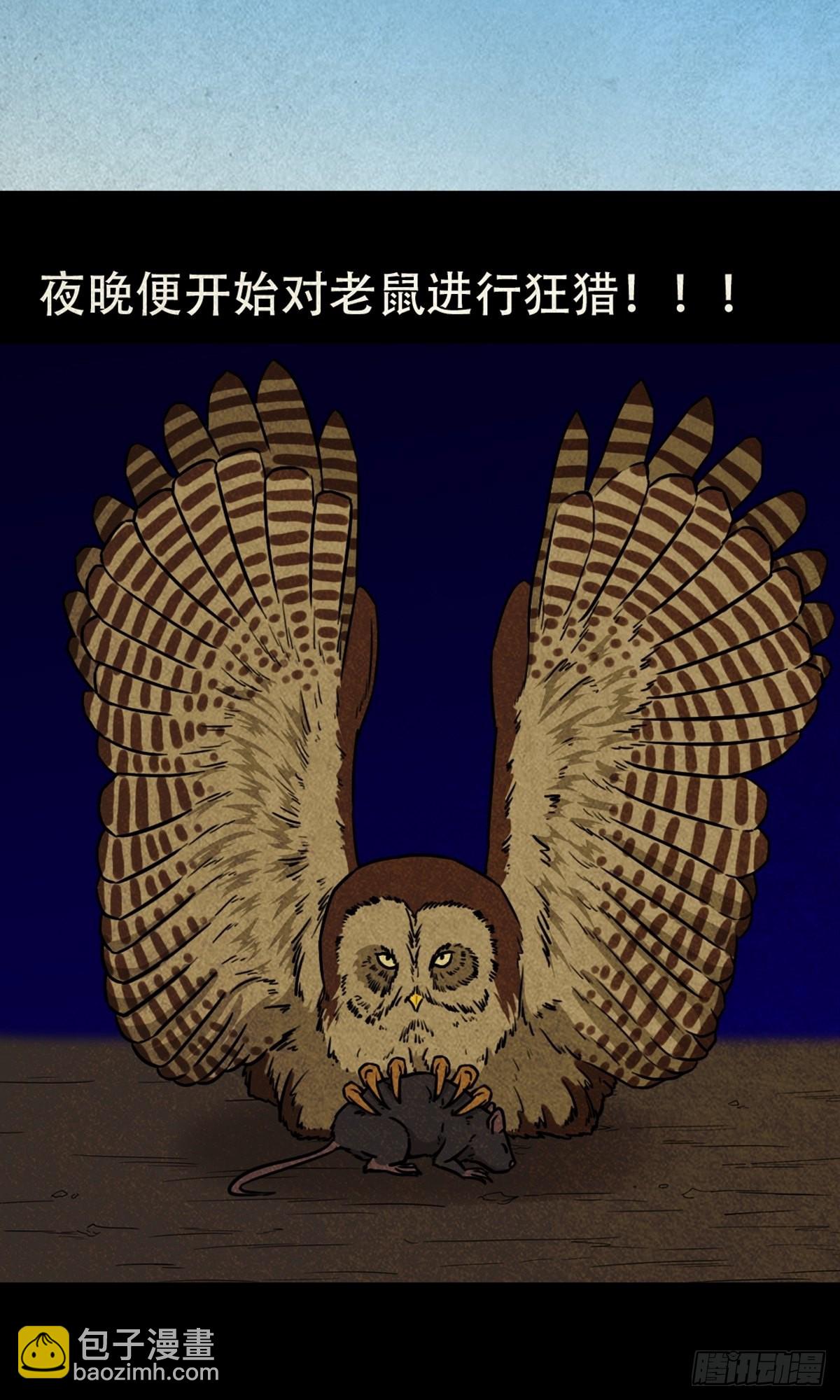 🍼斗厌神 怪鸮 第44页