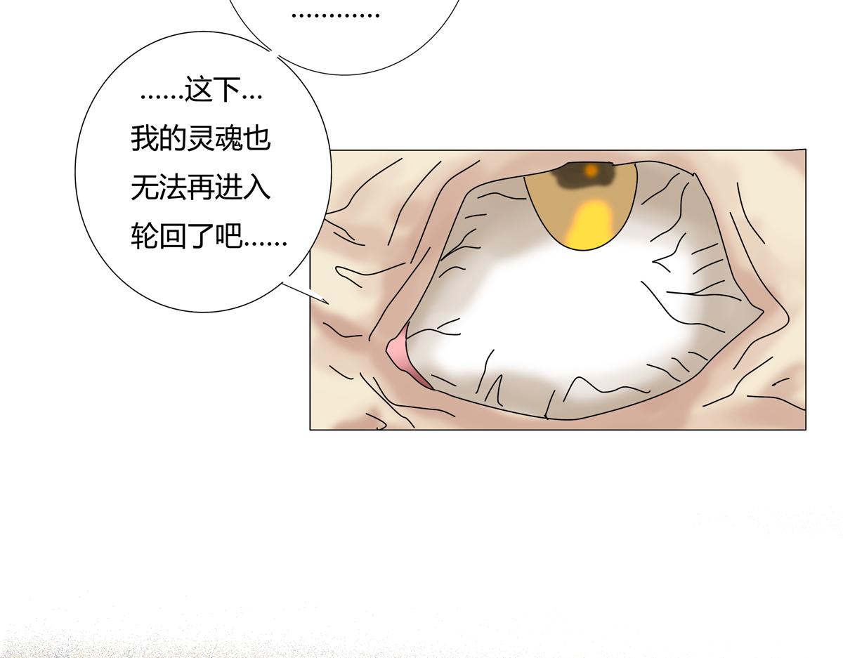 第六章 短暂的归来四-第77话
