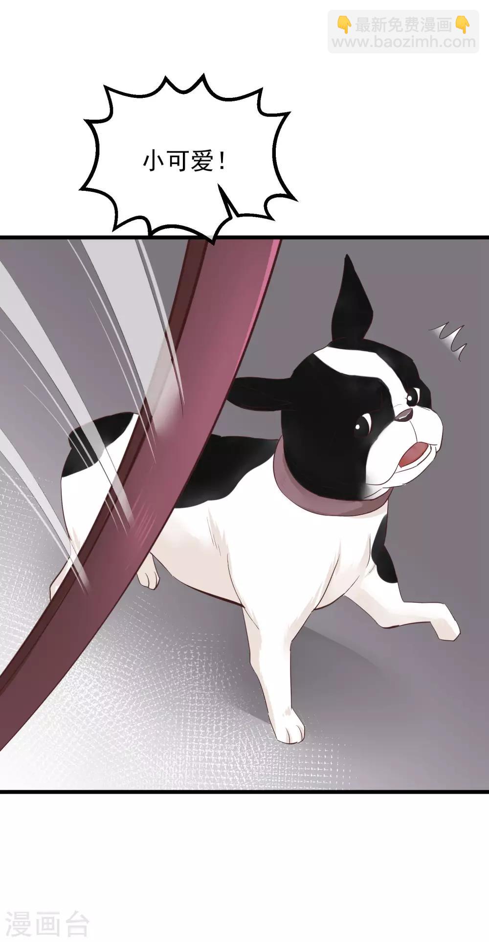 🍼读档皇后 第77话 打死这只狗 第10页
