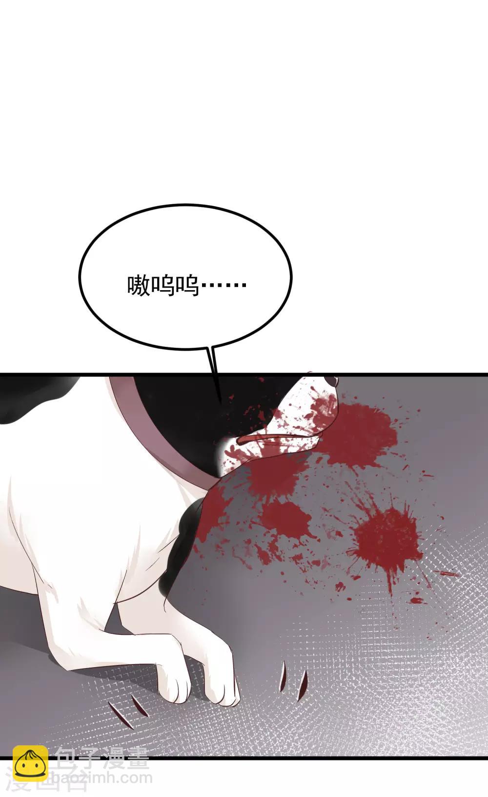 🍼读档皇后 第77话 打死这只狗 第11页