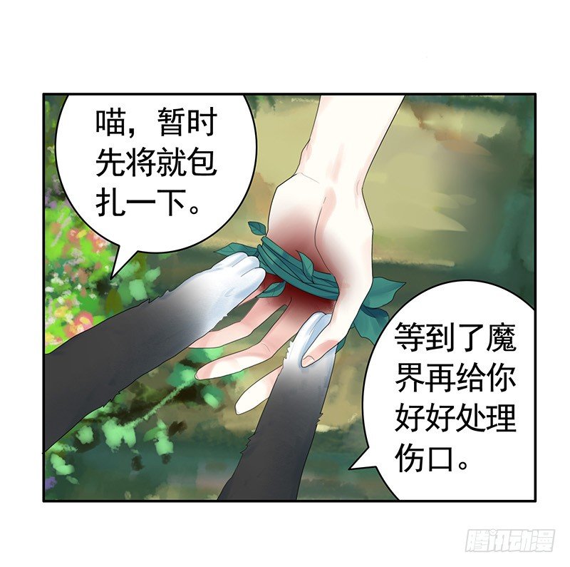 欠了猫情是要还的-第21话