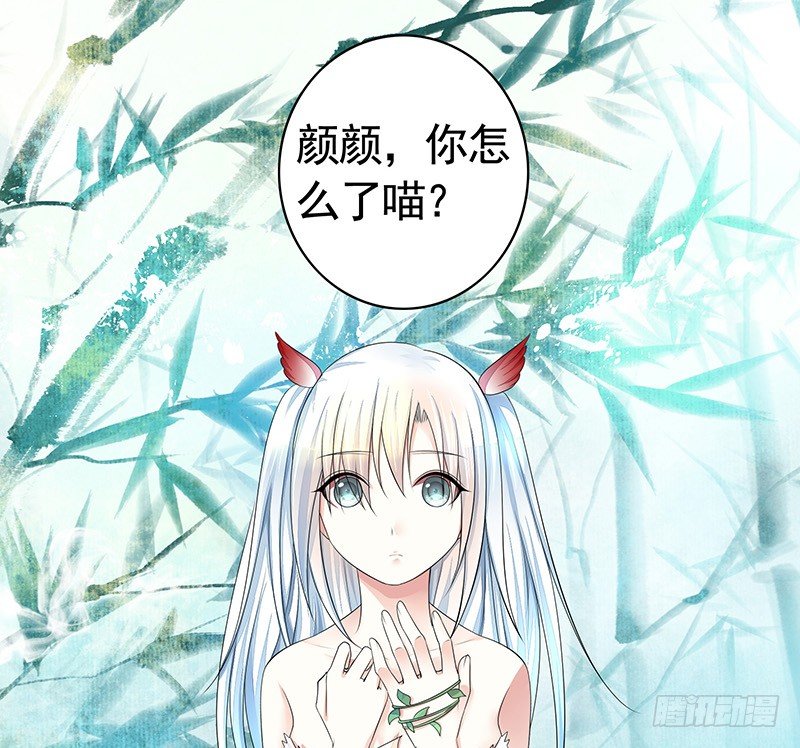 欠了猫情是要还的-第21话