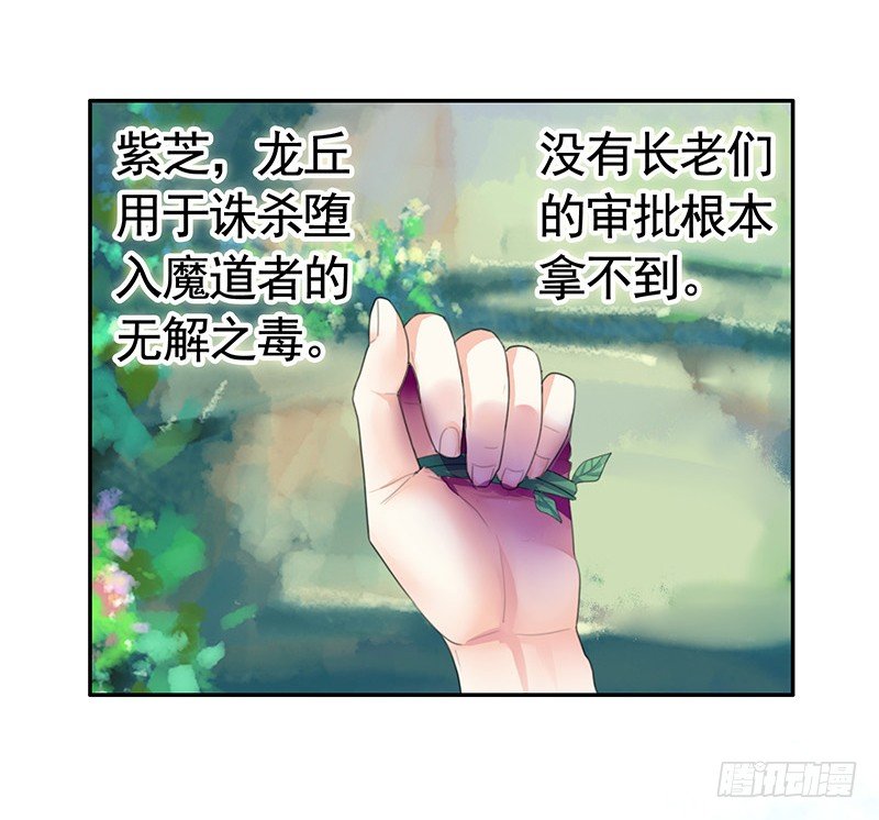 欠了猫情是要还的-第21话
