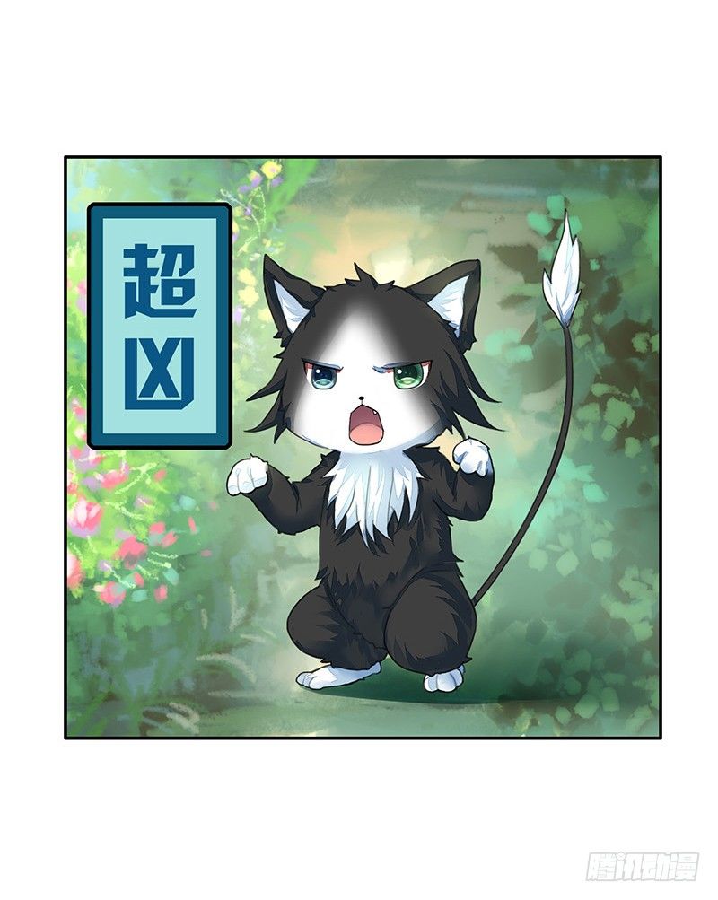 欠了猫情是要还的-第21话