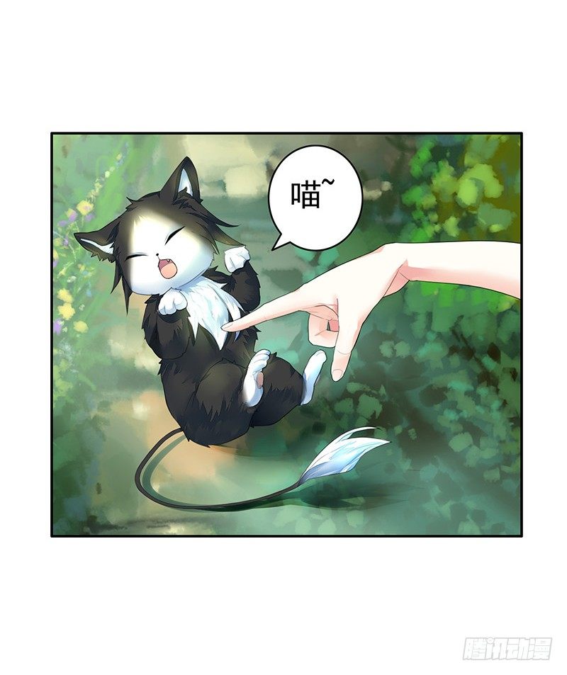 欠了猫情是要还的-第21话