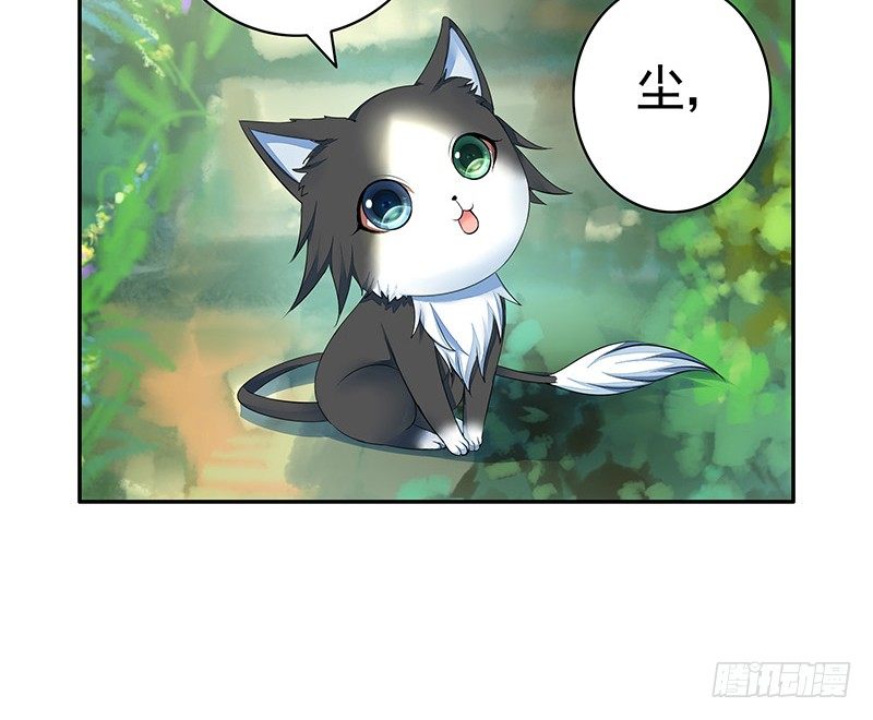 欠了猫情是要还的-第21话