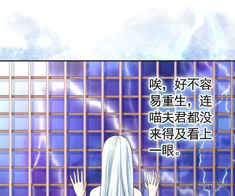 九天玄雷来劈我吧(1/2)-第29话