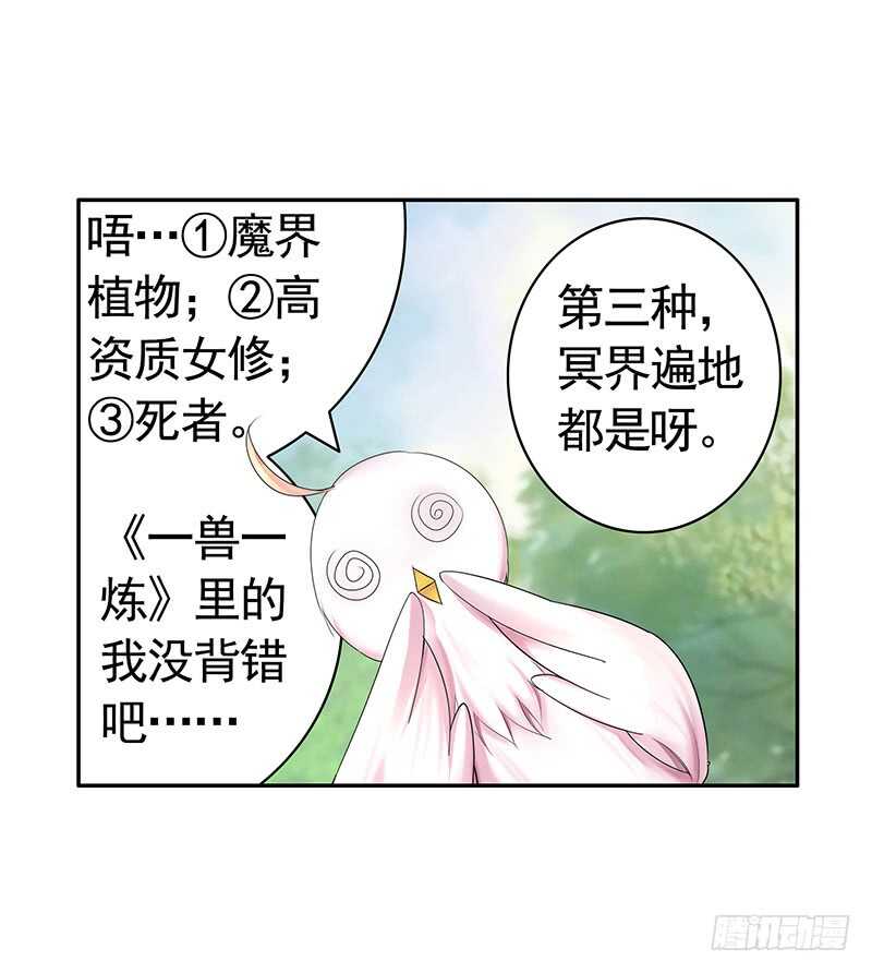 为你，我所向披靡-第39话
