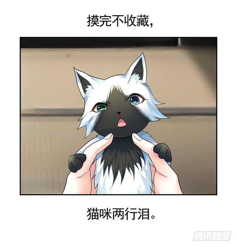 把你摸得喵喵叫(1/2)-第49话