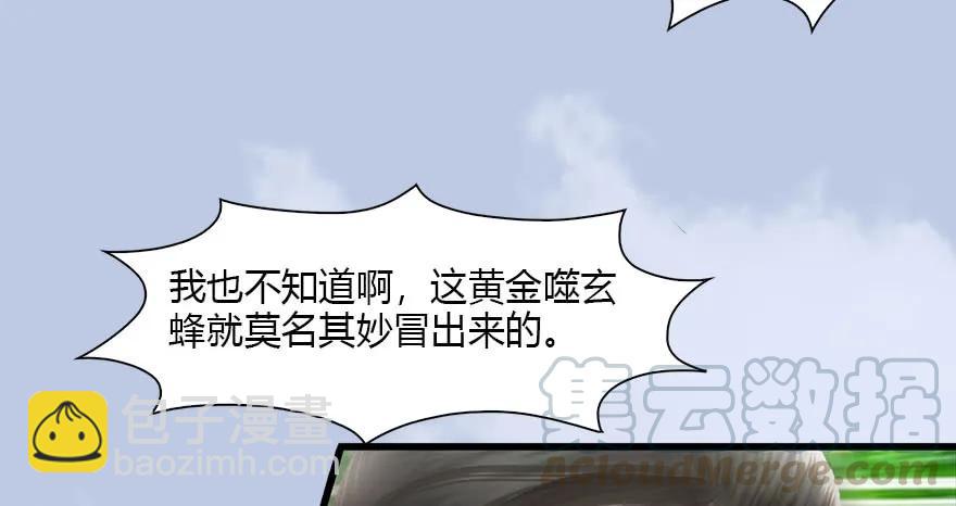 🍼堕玄师 091 黄金噬玄蜂 第13页
