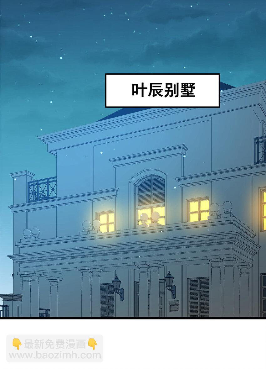 🍼都市极品医神 066 两百颗丹药 第40页