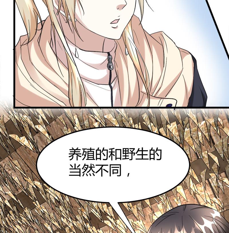 🍼都市狂少 第43话 黄鼠狼的气味！ 第39页