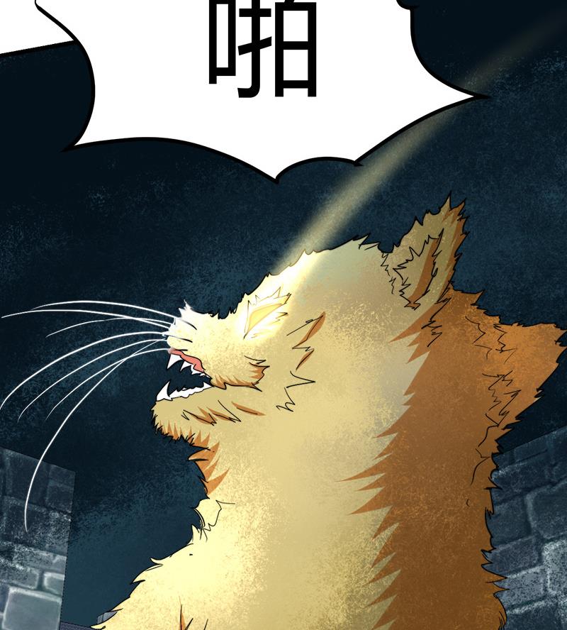 🍼都市狂少 第47话 不是林菲！ 第6页