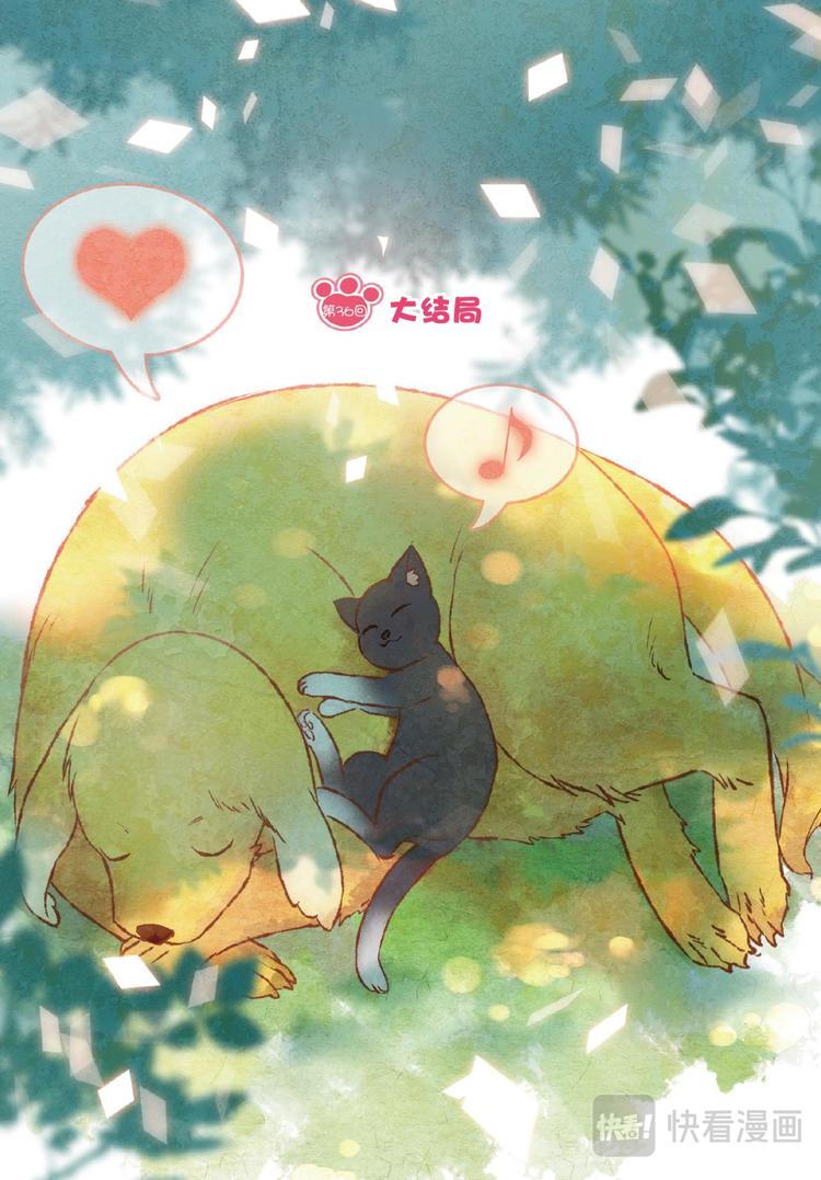 🍼都市喵奇谭 36大结局（上） 第1页