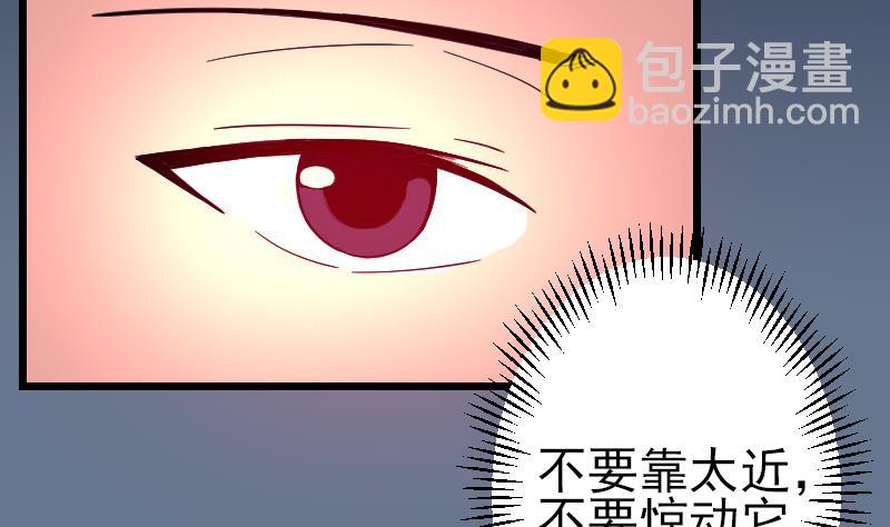 🍼都市神豪系统 第137话 猛禽 第11页