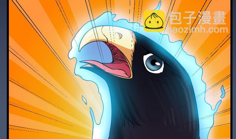 🍼都市神豪系统 第137话 猛禽 第20页
