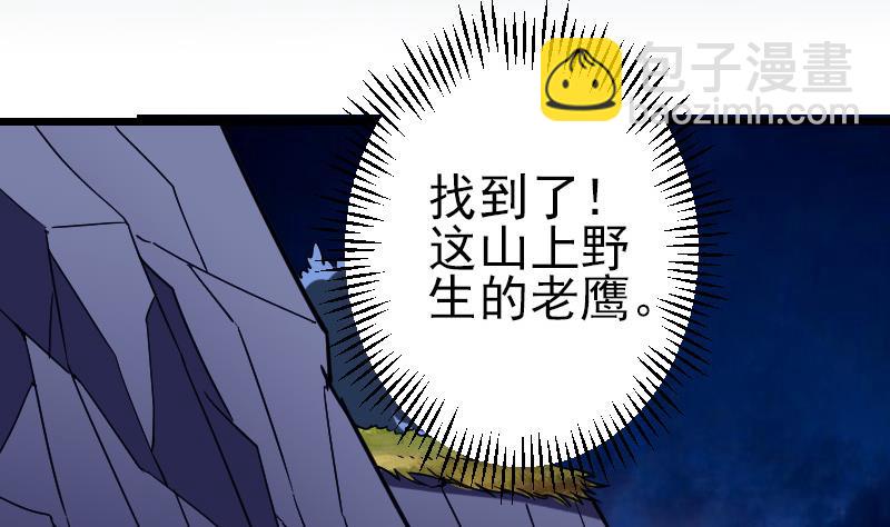 🍼都市神豪系统 第137话 猛禽 第5页