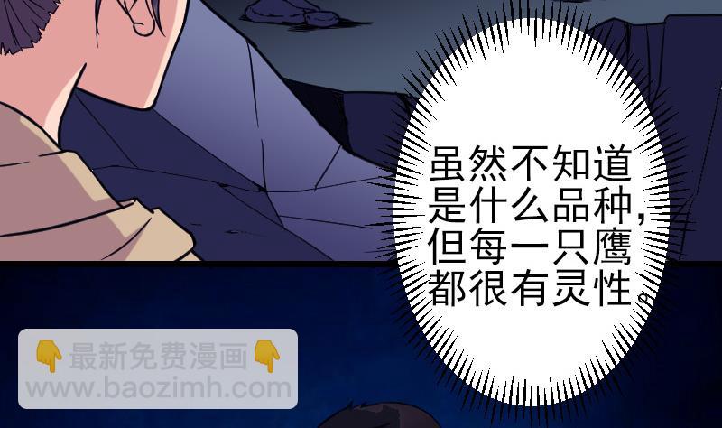 🍼都市神豪系统 第137话 猛禽 第7页
