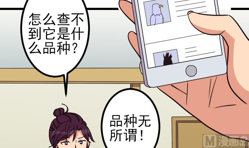 🍼都市神豪系统 第139话 奇观 第48页